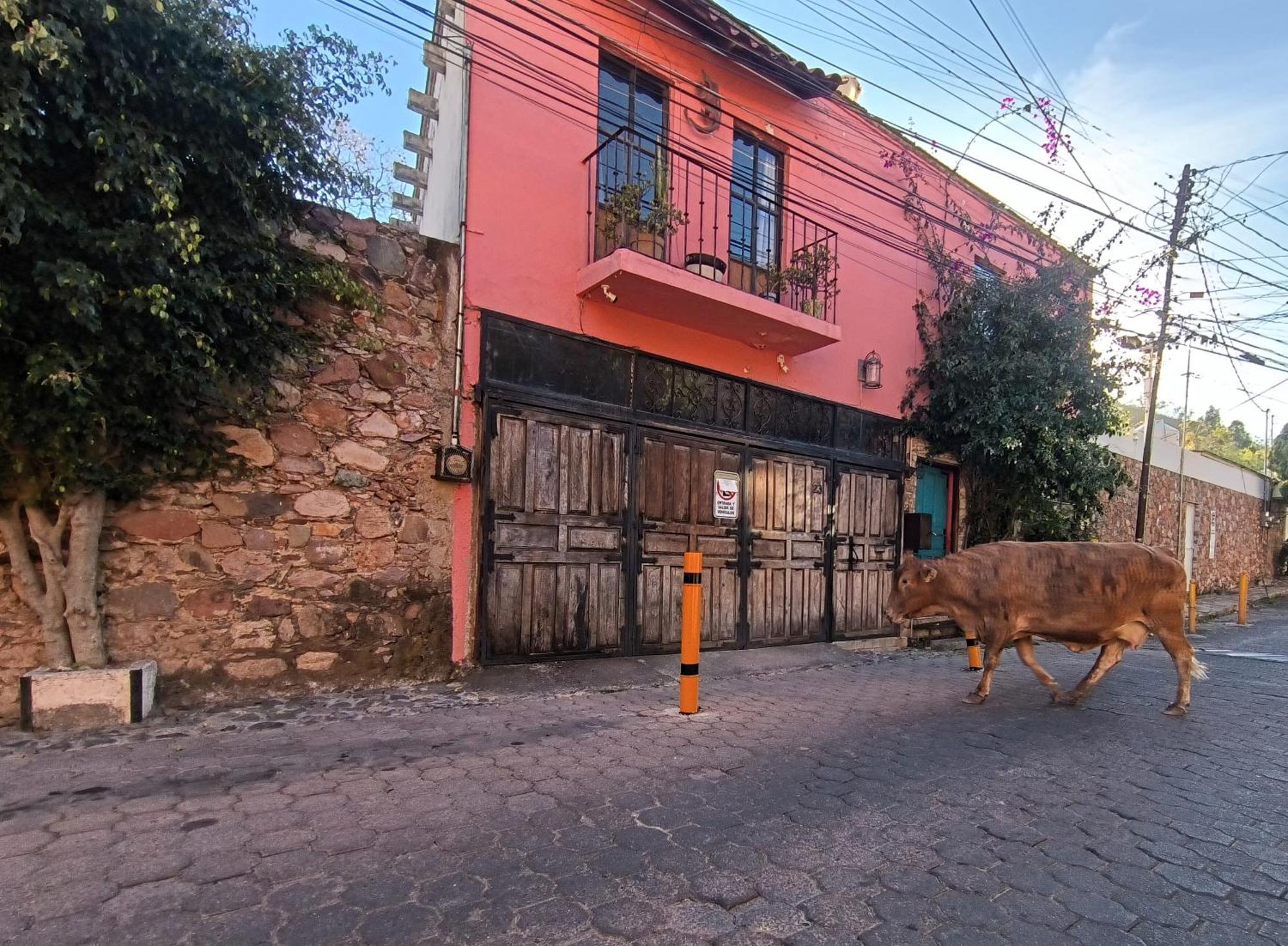 El Refugio De San Matias Aparthotel Guanajuato Exterior photo